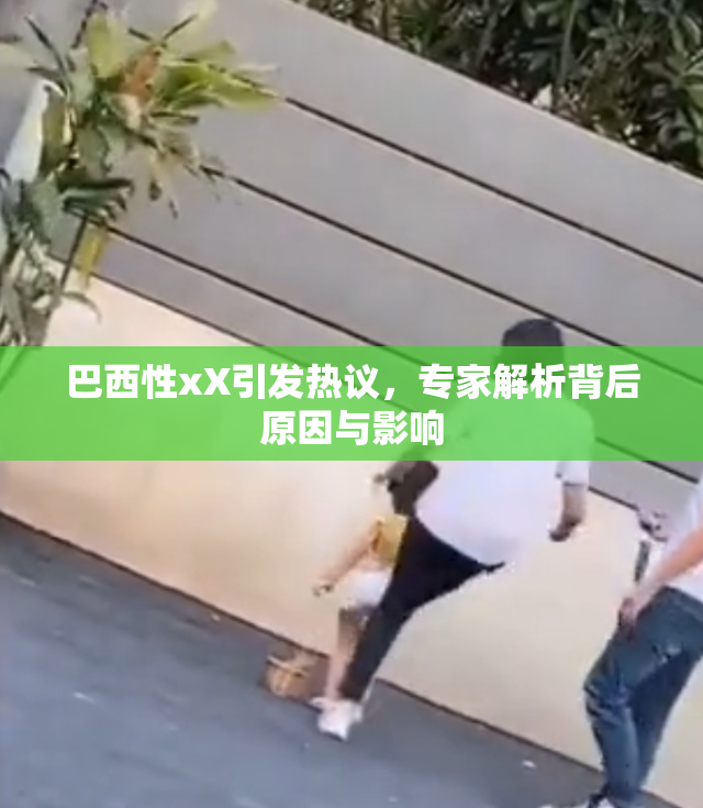 巴西性xX引发热议，专家解析背后原因与影响