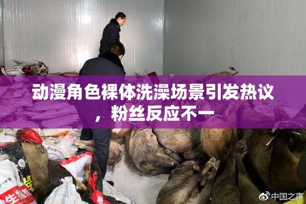 动漫角色裸体洗澡场景引发热议，粉丝反应不一