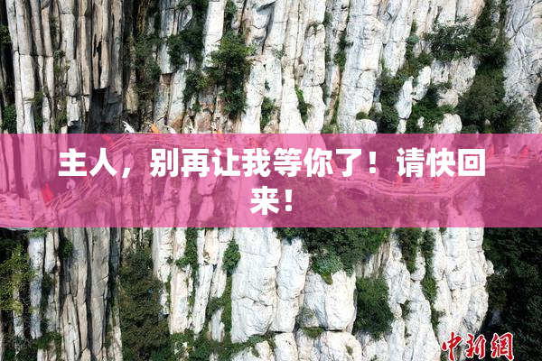 主人，别再让我等你了！请快回来！