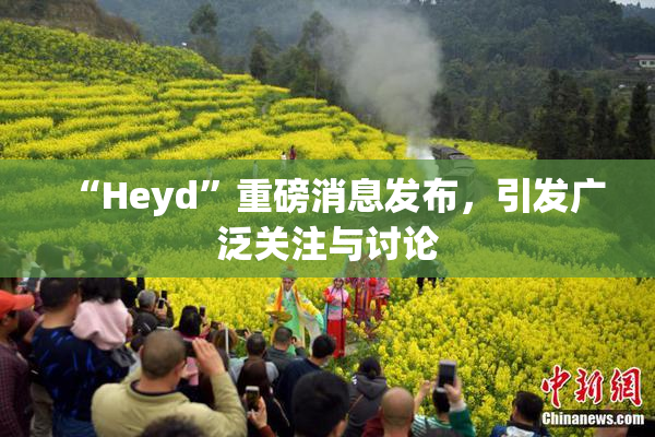 “Heyd”重磅消息发布，引发广泛关注与讨论