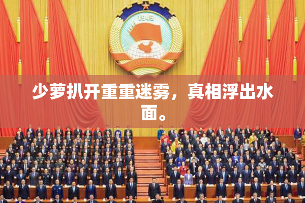 少萝扒开重重迷雾，真相浮出水面。
