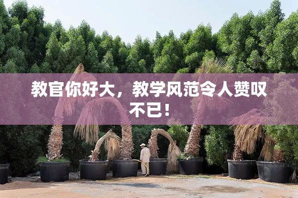 教官你好大，教学风范令人赞叹不已！