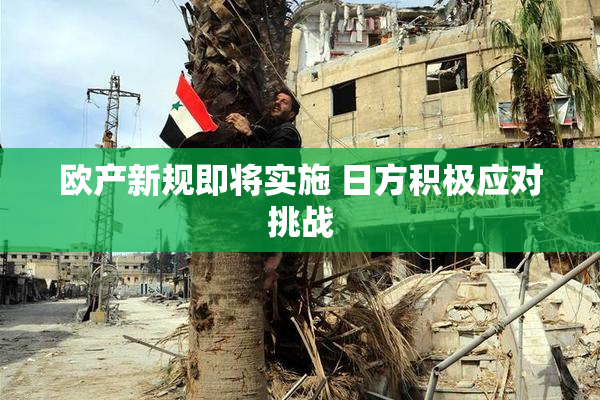 欧产新规即将实施 日方积极应对挑战