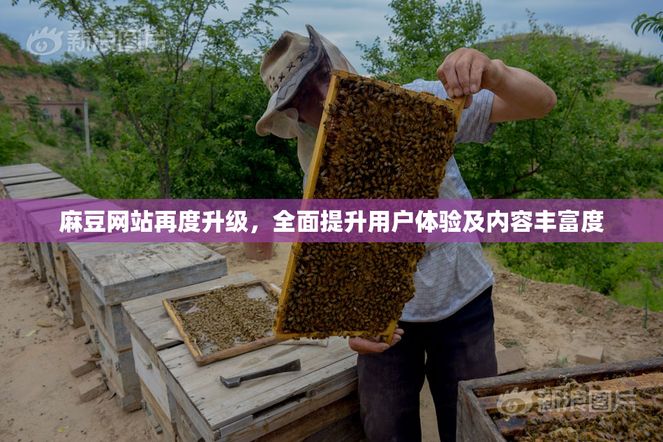 麻豆网站再度升级，全面提升用户体验及内容丰富度