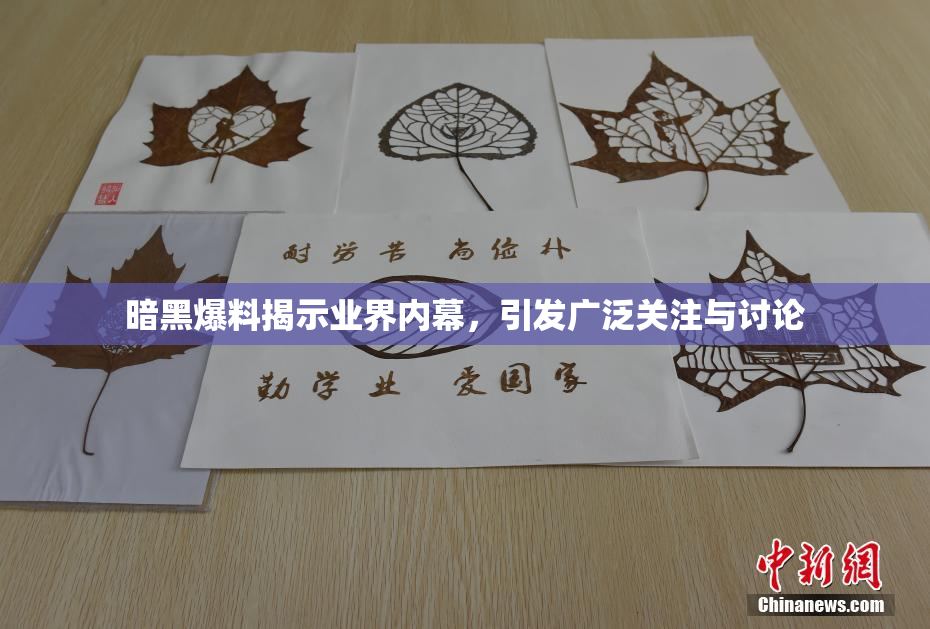 暗黑爆料揭示业界内幕，引发广泛关注与讨论