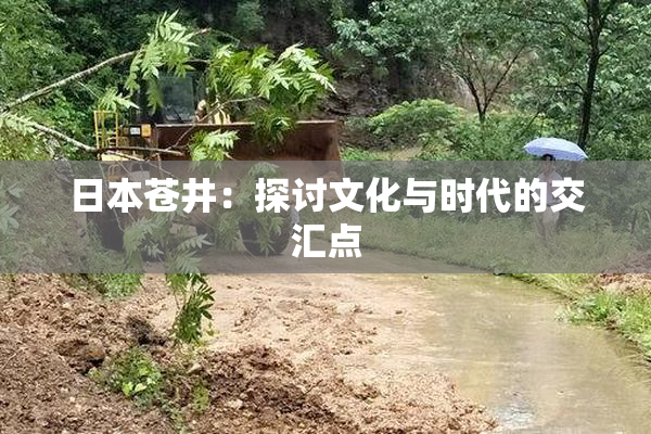 日本苍井：探讨文化与时代的交汇点