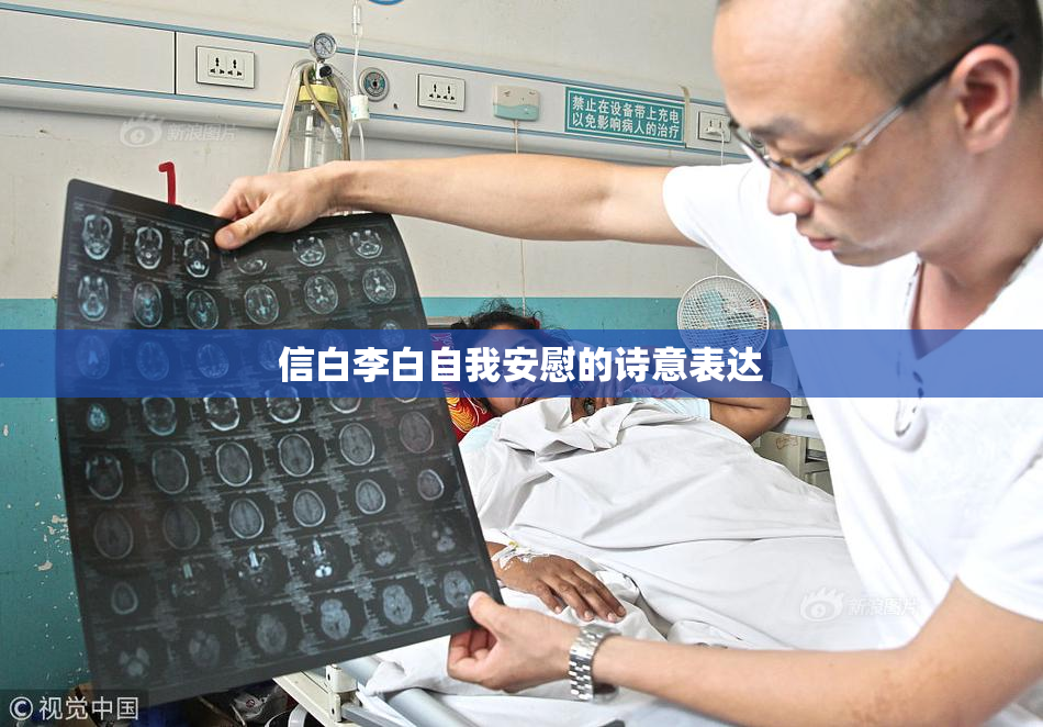 信白李白自我安慰的诗意表达