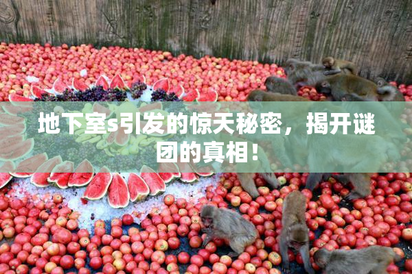 地下室s引发的惊天秘密，揭开谜团的真相！