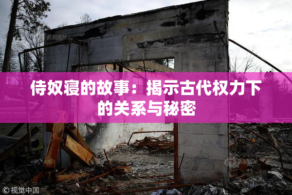 侍奴寝的故事：揭示古代权力下的关系与秘密