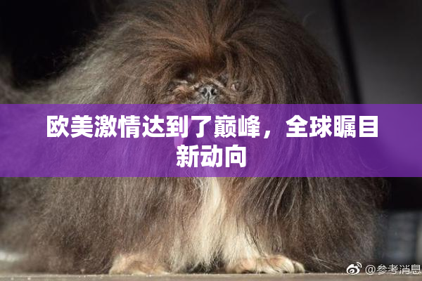 欧美激情达到了巅峰，全球瞩目新动向
