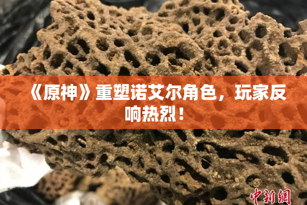 《原神》重塑诺艾尔角色，玩家反响热烈！