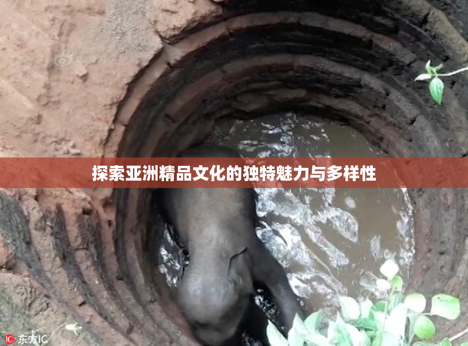 探索亚洲精品文化的独特魅力与多样性