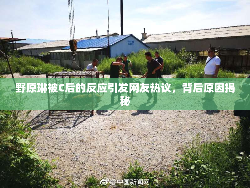 野原琳被C后的反应引发网友热议，背后原因揭秘