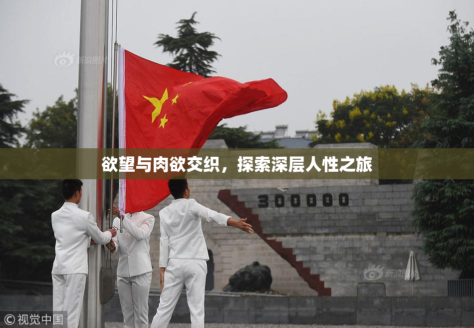 欲望与肉欲交织，探索深层人性之旅
