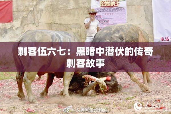 刺客伍六七：黑暗中潜伏的传奇刺客故事