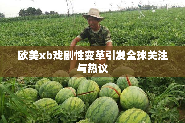 欧美xb戏剧性变革引发全球关注与热议