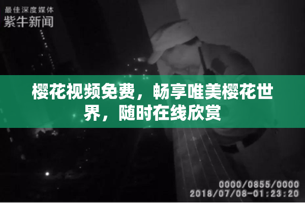 樱花视频免费，畅享唯美樱花世界，随时在线欣赏
