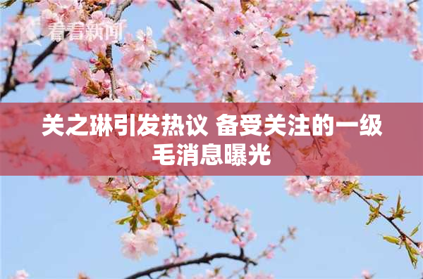 关之琳引发热议 备受关注的一级毛消息曝光