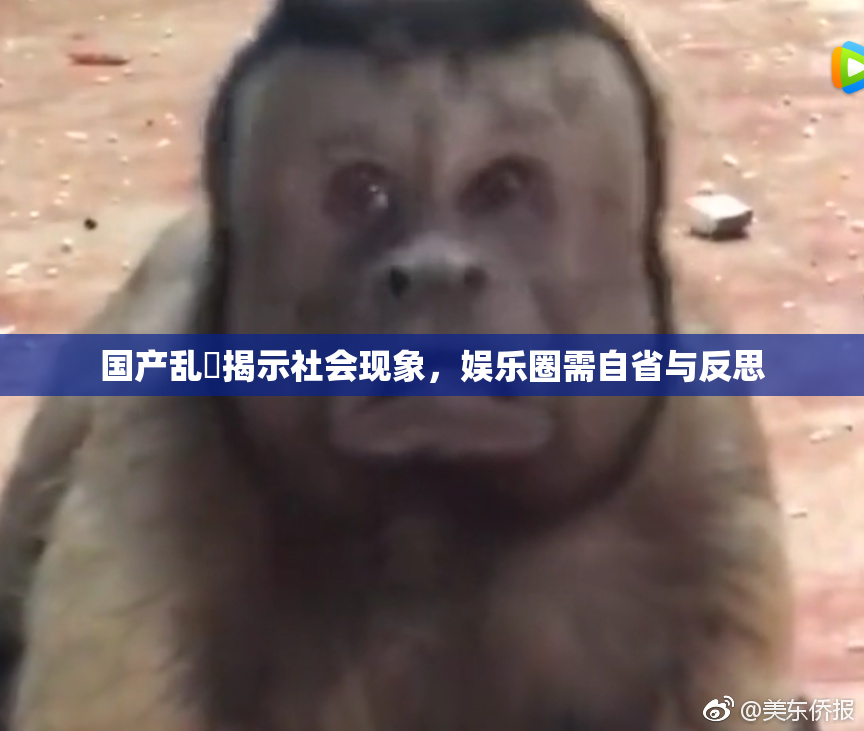 国产乱婬揭示社会现象，娱乐圈需自省与反思