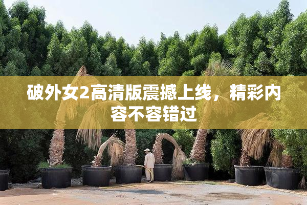 破外女2高清版震撼上线，精彩内容不容错过