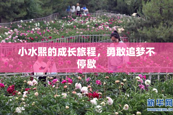 小水熙的成长旅程，勇敢追梦不停歇