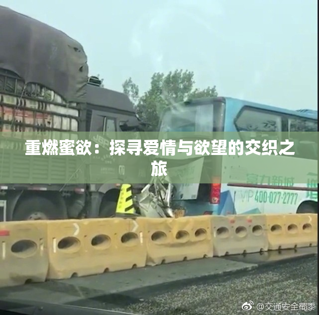 重燃蜜欲：探寻爱情与欲望的交织之旅