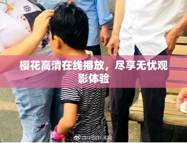 樱花高清在线播放，尽享无忧观影体验