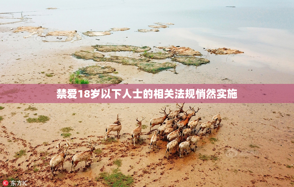 禁爱18岁以下人士的相关法规悄然实施