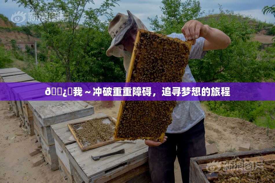 🌿‌我～冲破重重障碍，追寻梦想的旅程