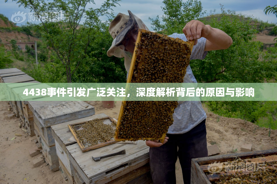 4438事件引发广泛关注，深度解析背后的原因与影响