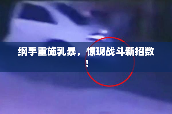 纲手重施乳暴，惊现战斗新招数！