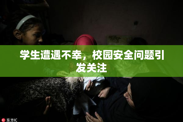 学生遭遇不幸，校园安全问题引发关注