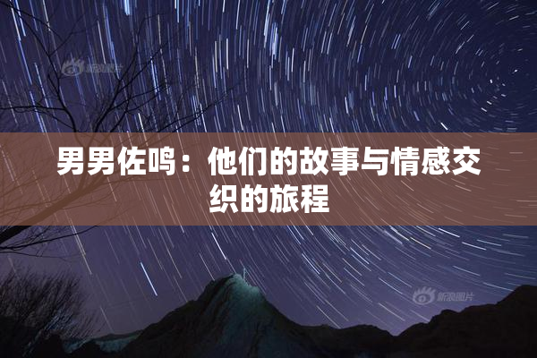 男男佐鸣：他们的故事与情感交织的旅程