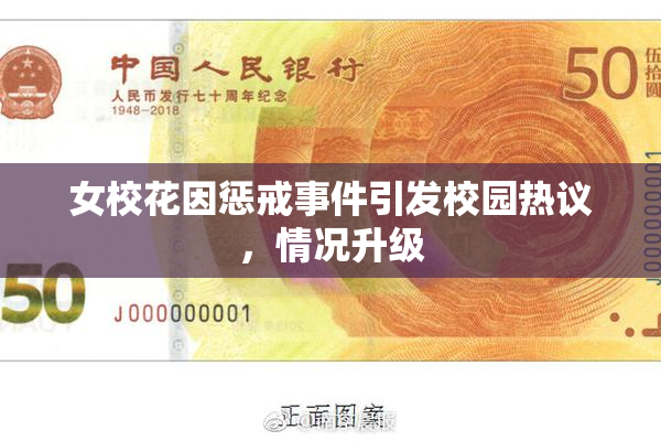 女校花因惩戒事件引发校园热议，情况升级