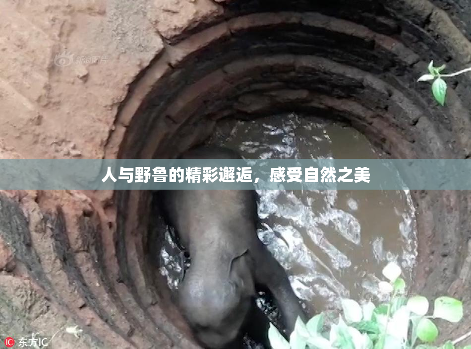 人与野鲁的精彩邂逅，感受自然之美