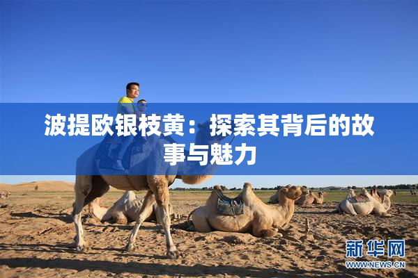 波提欧银枝黄：探索其背后的故事与魅力
