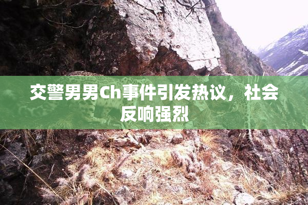 交警男男Ch事件引发热议，社会反响强烈