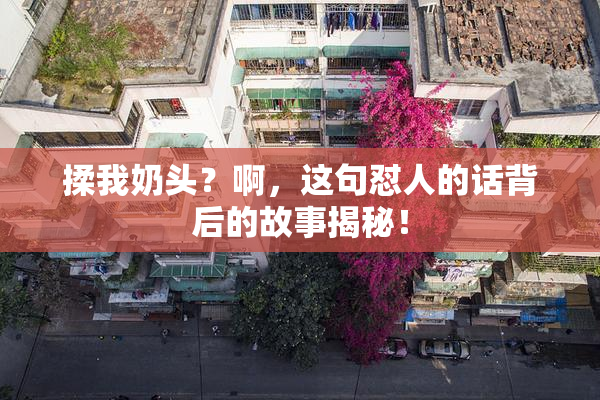 揉我奶头？啊，这句怼人的话背后的故事揭秘！