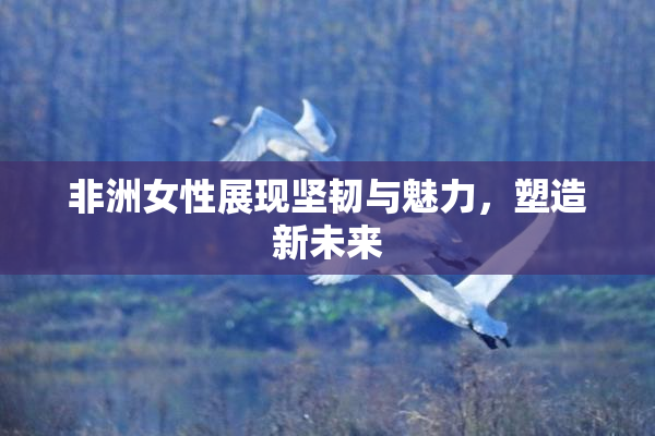 非洲女性展现坚韧与魅力，塑造新未来