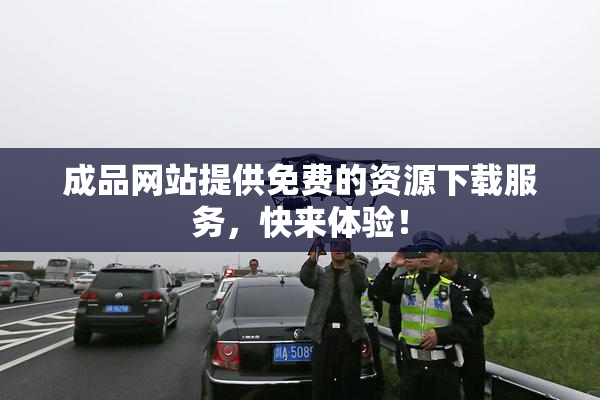 成品网站提供免费的资源下载服务，快来体验！