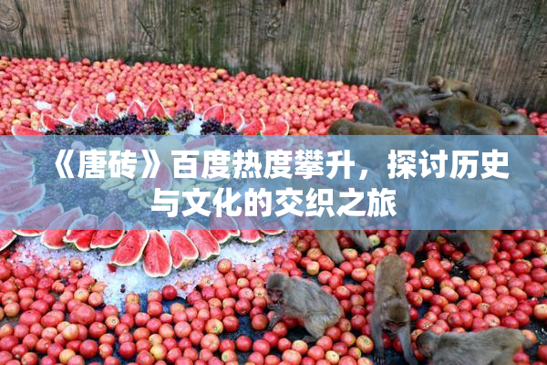 《唐砖》百度热度攀升，探讨历史与文化的交织之旅