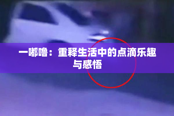 一嘟噜：重释生活中的点滴乐趣与感悟