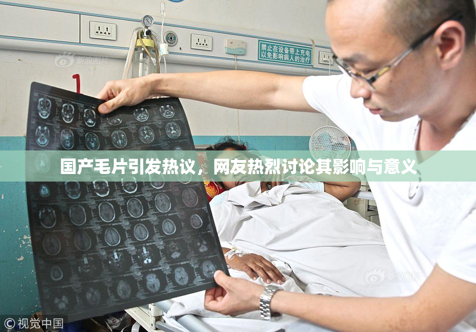 国产毛片引发热议，网友热烈讨论其影响与意义