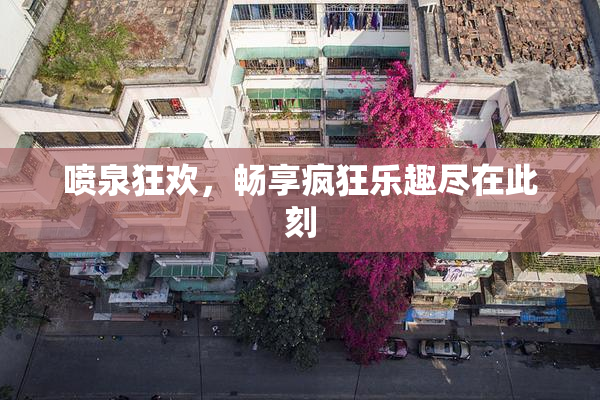 喷泉狂欢，畅享疯狂乐趣尽在此刻