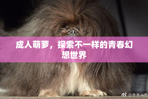 成人萌萝，探索不一样的青春幻想世界