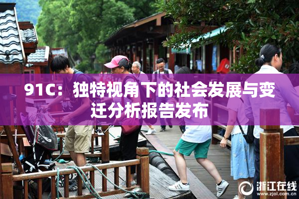 91C：独特视角下的社会发展与变迁分析报告发布