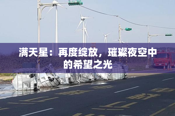 满天星：再度绽放，璀璨夜空中的希望之光