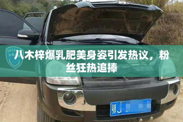 八木梓爆乳肥美身姿引发热议，粉丝狂热追捧