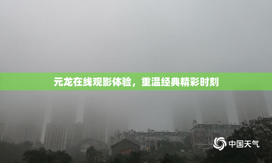 元龙在线观影体验，重温经典精彩时刻
