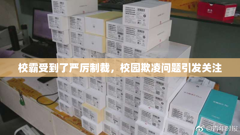 校霸受到了严厉制裁，校园欺凌问题引发关注